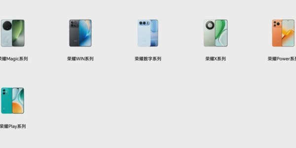 乐鱼体育app下载-换帅一年，荣耀沦为 Others